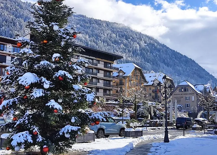 Studio Pointe des Aravis-4